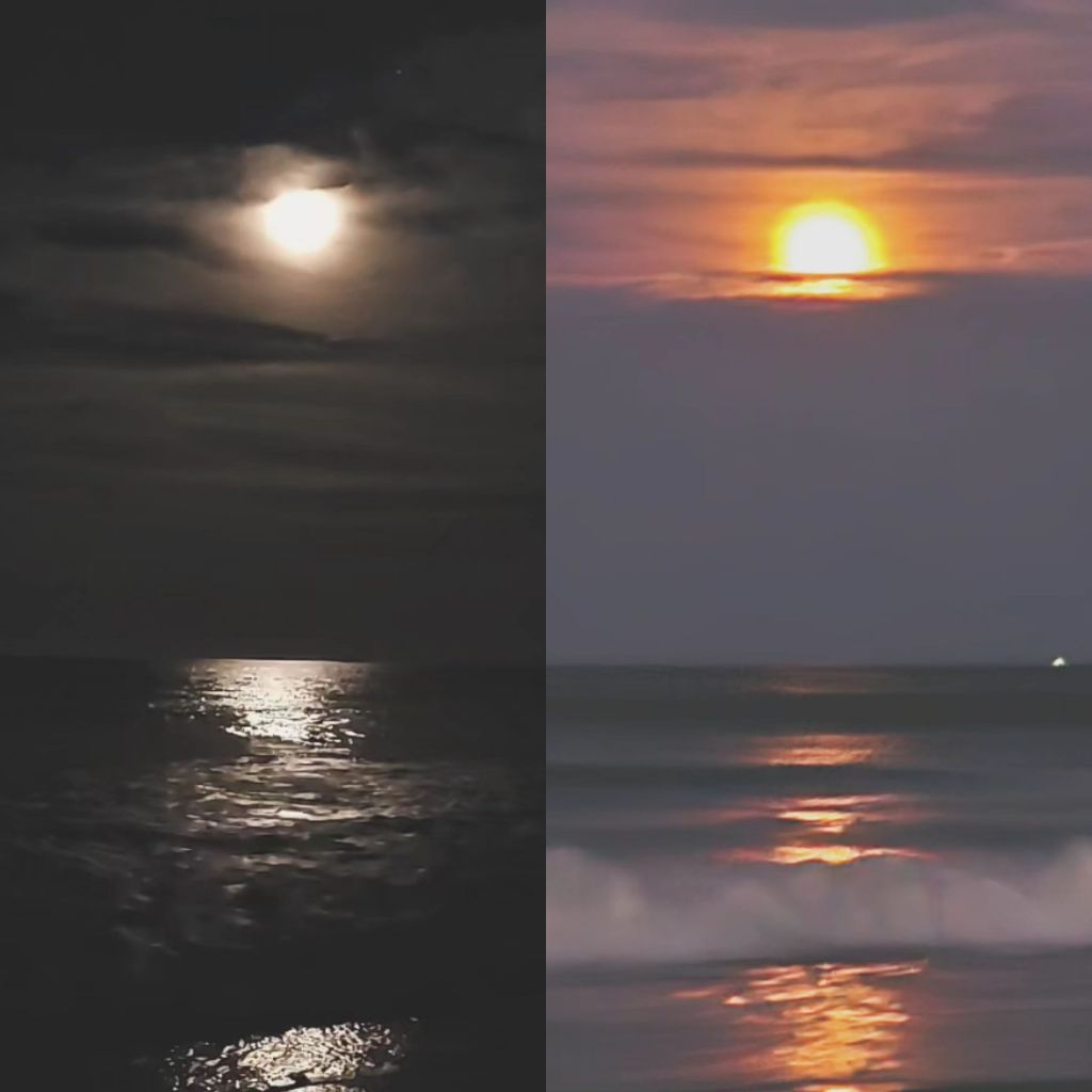 When the Moon Loves the&nbsp;Sun