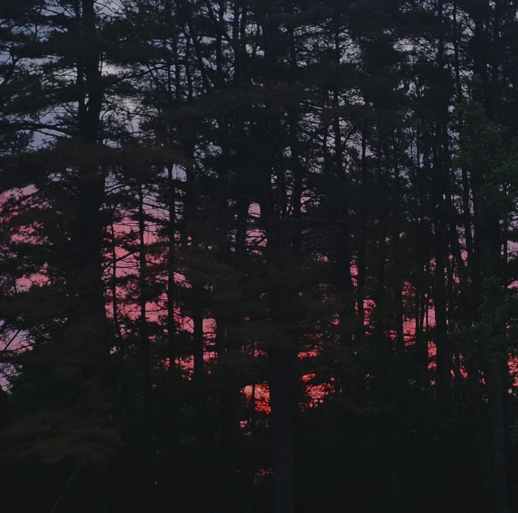 My worst fear happened, though I was not&nbsp;afraid.